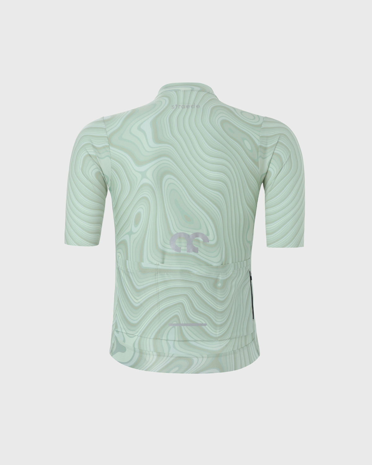 Aerlig Jersey Men in topographischem Design Kurzarm apfelgrün Rückseite