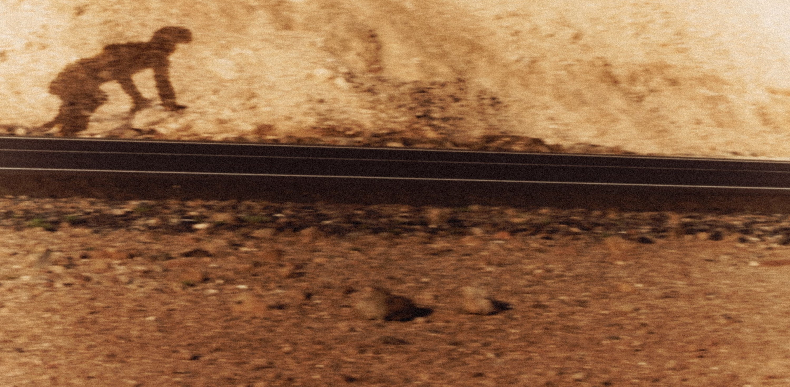 Die straede Gravel-Kollektion im Nature-Shot. Hochwertige Radbekleidung für maximale Freiheit auf und abseits der Straße.